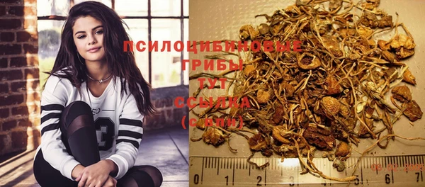 дмт Балахна