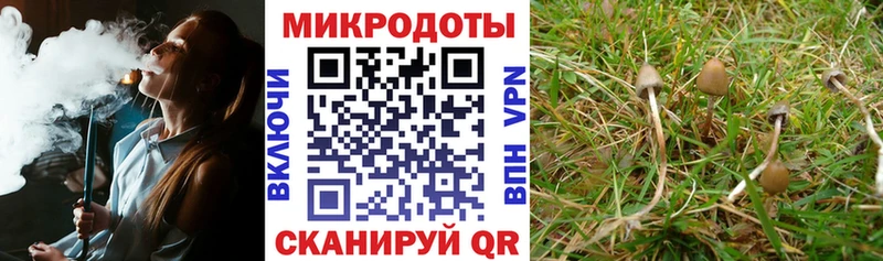 Галлюциногенные грибы ЛСД  Бронницы 